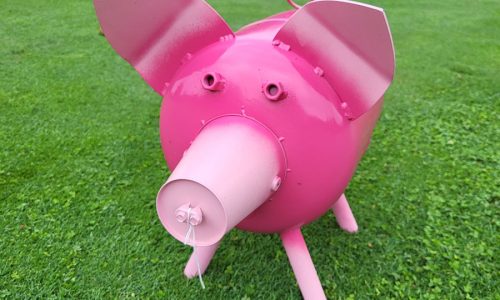 Porky-pig-hole-contest